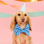 Make A Wish Dog Bow Tie - Standard