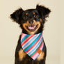 Festive Stripe Bandana