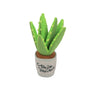 Blooming Buddies - Aloe-ve You Plant