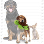 Mighty Microfiber Ball Medium Turtle Green