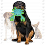 DuraForce Crab Tiger- Blue/Green, Durable
