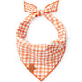 Be My Boo (Reversible) Halloween Dog Bandana