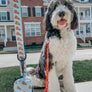 Dog Leash - One Hot Pupperoni (Food)