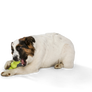 Rumpus® Dog Chew Toy