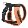 #04231 - Escape Free Comfort X One Harness