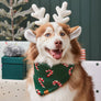 Candy Cane Knit Holiday Dog Bandana