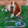 Dog Waste Bag Holder - Looney Tunes™ Blue