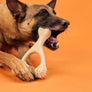 BetterBone Dog Chew: HARD (Beef) Small/Medium Size