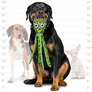 Tuffy Ocean Squid - Green, Durable, Tough