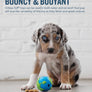 Planet Dog Orbee-Tuff Planet Ball Dog Toy Blue/Green Small