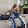 Dog Rope Leash - Ombre Blue