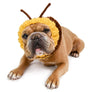 Bee Zoo Snood
