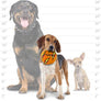 Mighty Ball - Medium Orange, No Stuffing