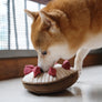Berry Pie//Enrichment Dog Toy