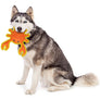 DuraForce Crab Tiger - Orange, Durable,