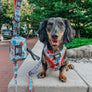 Dog Waste Bag Holder - Looney Tunes™ Blue