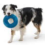 Sailz® Dog Flying Disc Fetch Toy