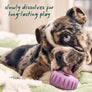 Pupsicle Pops- Calming Wellness