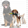 Tuffy Jr Barnyard Duck, Durable, Tough