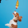 BARK Ernesto the Fish Taco