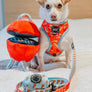 Dog Reversible Harness - One Hot Pupperoni