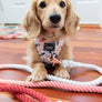 Dog Rope Leash - Poppy