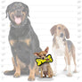 Tuffy Jr Bone - Yellow, Durable, Tough