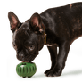 Pupsicle Pops- Beef
