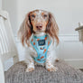 Dog Reversible Harness - One Hot Pupperoni