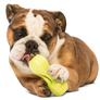 Qwizl® Dog Puzzle Treat-Dispensing Enrichment Toy