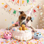 The Pupsicle- Party Colors