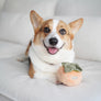 Persimmon/ Enrichment Toy Set// Snuffle Toy