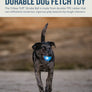 Planet Dog Orbee-Tuff Strobe Ball Light Up Dog Toy Blue