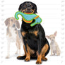 DuraForce Seahorse - Blue, Durable, Squeaky Dog Toy