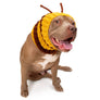 Bee Zoo Snood