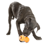 Qwizl® Dog Puzzle Treat-Dispensing Enrichment Toy