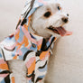 Leaf Dog Rain Jacket
