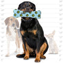 Mighty Bone - Blue, Durable, No Stuffing