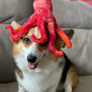 SnugArooz Olivia the Octopus Plush Dog Toy 11"