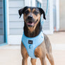 Dog Adjustable Harness - Blumond