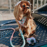 Dog Waste Bag Holder - Sakura (Spring)