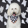 Be My Boo (Reversible) Halloween Dog Bandana