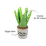 Blooming Buddies - Aloe-ve You Plant