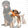 Tuffy Jr Zoo Fox, Durable, Tough
