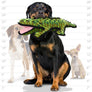 Tuffy Ocean Alligator, Durable, Squeaky Dog Toy