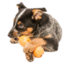 Qwizl® Dog Puzzle Treat-Dispensing Enrichment Toy