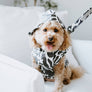 Abstract Dog Rain Jacket