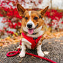 Dog Adjustable Harness - Merlot