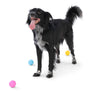 Boundr® 2-Pack Dog Toy Ball for Play, Chew, and Fetch