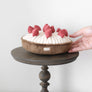 Berry Pie//Enrichment Dog Toy
